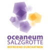 Salzgrotte Logo